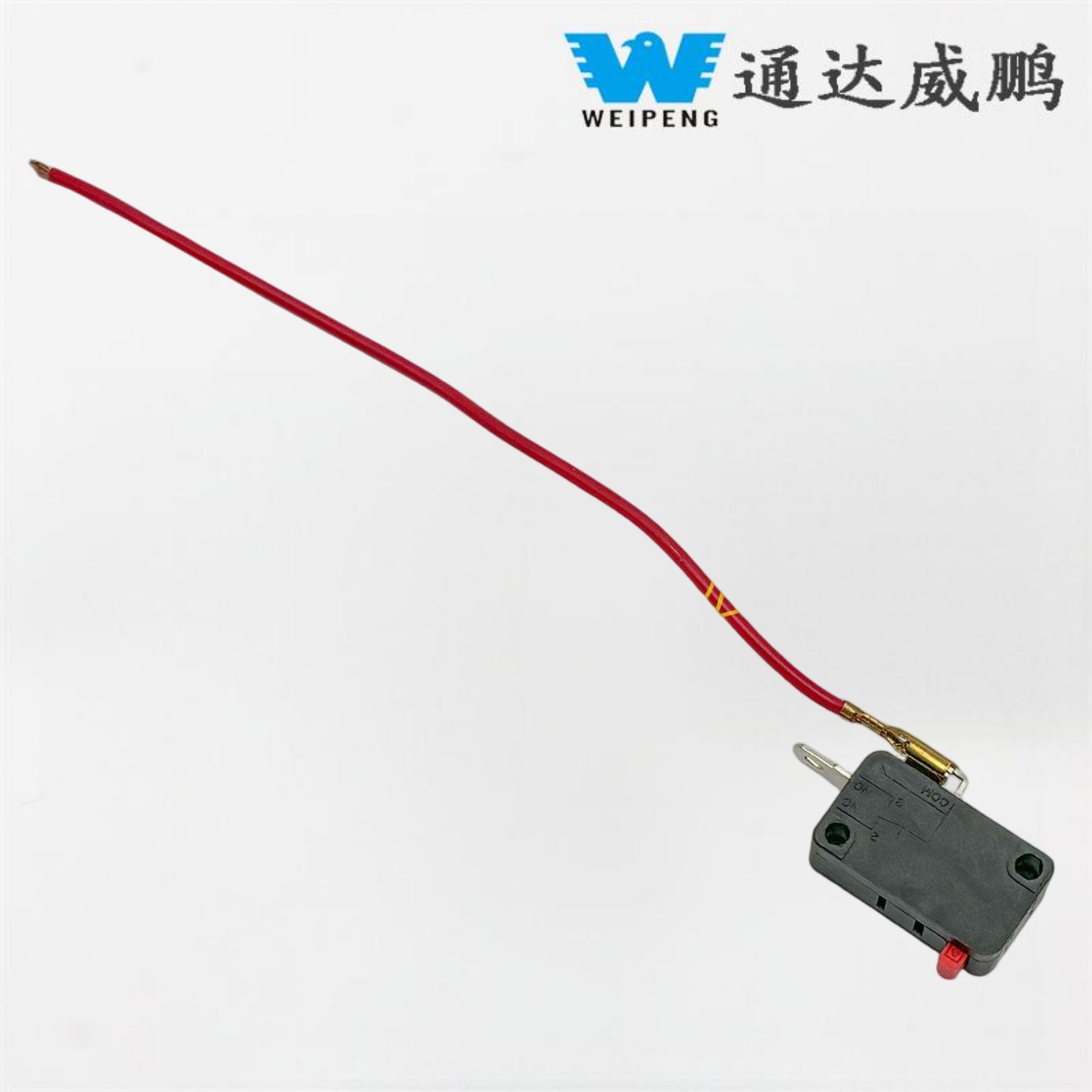 Autowasmachine met bedrade microschakelaar