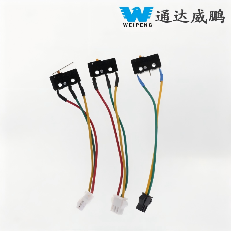 Ontsteking Elektromagnetische klep Waterverwarmer Thermostaat Watertankschakelaar