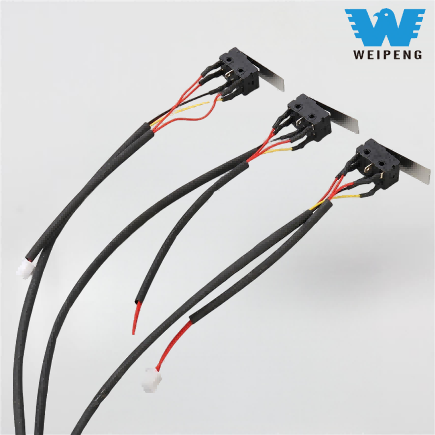 Microschakelaar voor gasfornuisbranders