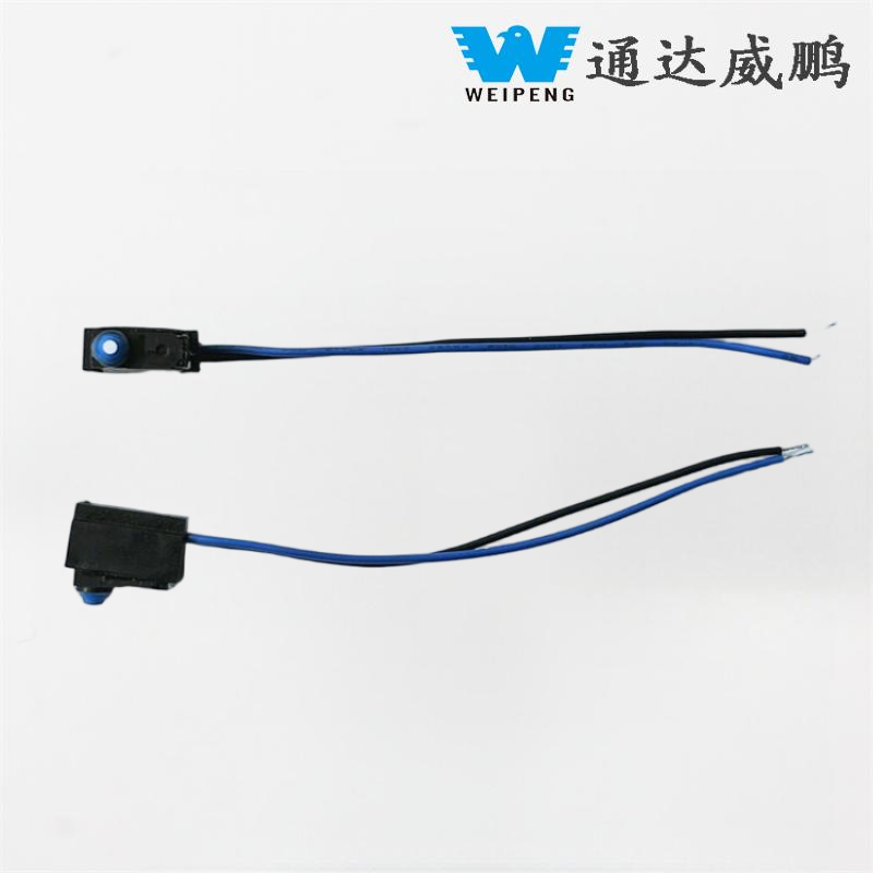 Verzegelde IP67 waterdichte microschakelaar