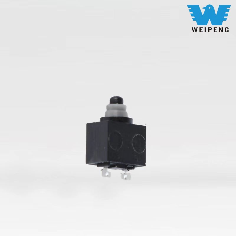 Waterdichte microschakelaar tweebenig