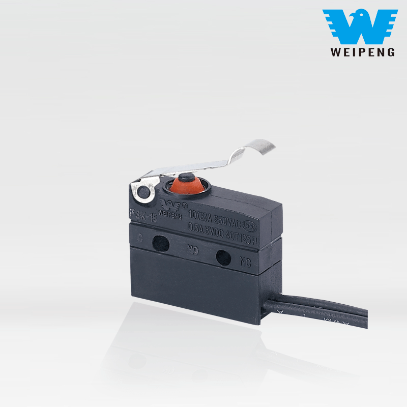 Weipeng 10A schuine hendel zijuitgang IP67 afgedichte waterdichte microschakelaar